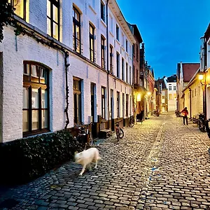 Heaven At 11, Your Deluxe With Personal Bathroom, Kitchenette & Terrace Couette-café Gand